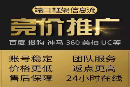 SEM竞价推广案例：打造行业领先的广告投放策略
